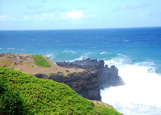 gris gris mauritius